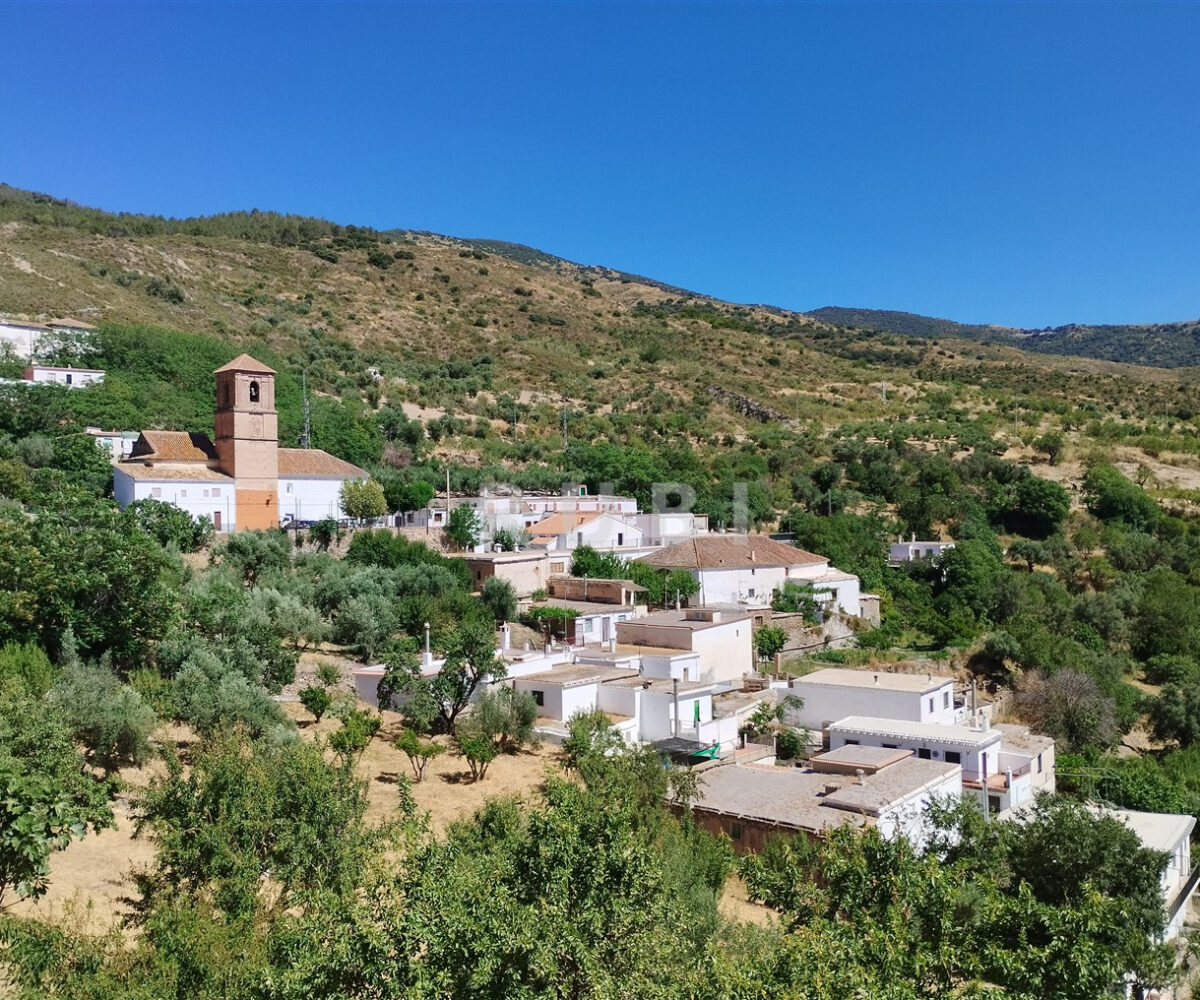 Alcázar village in the Alpujarras with mountain views