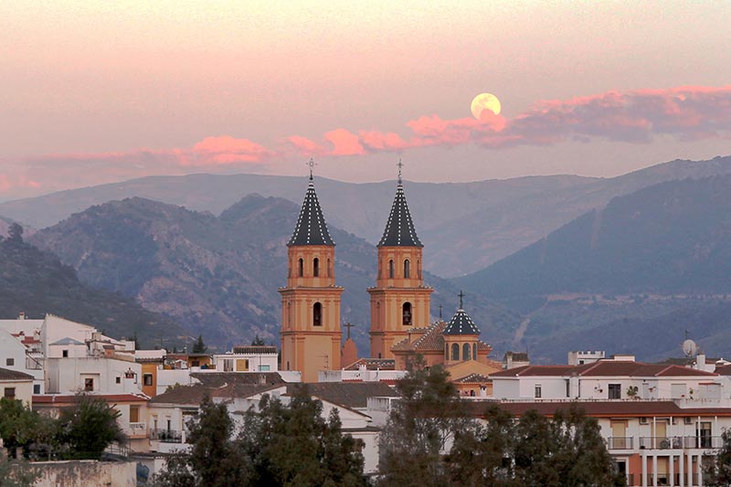 Órgiva town market day with local produce and people.